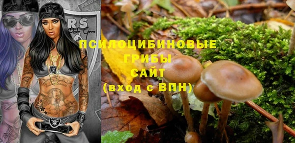 прущая мука Алзамай