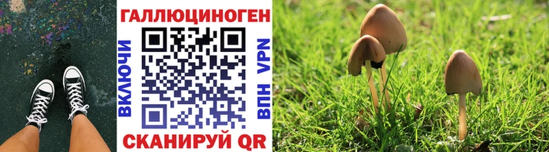 Галлюциногенные грибы мухоморы  Сыктывкар 