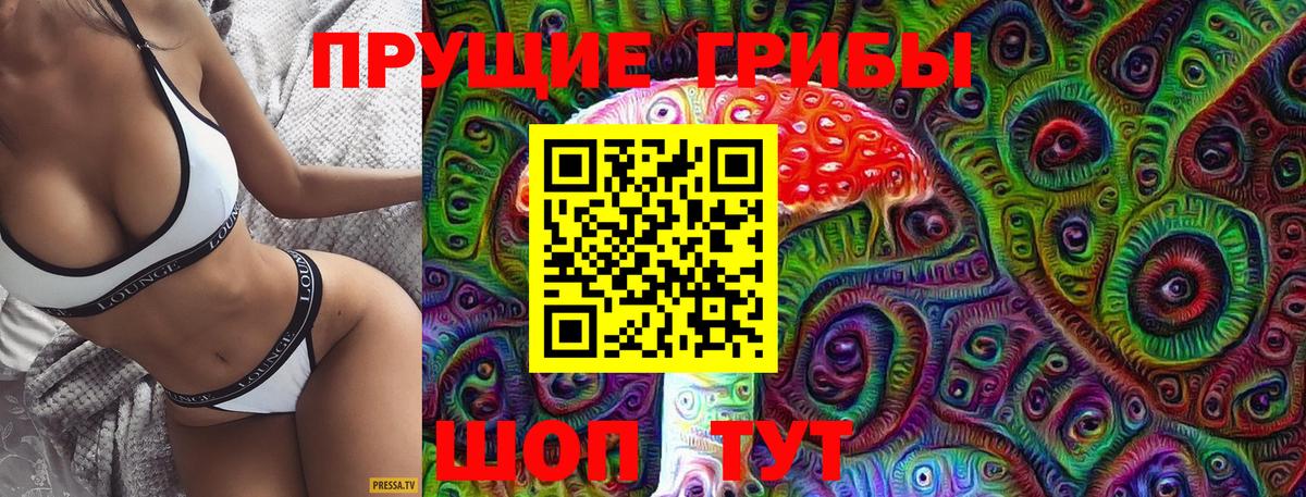 Галлюциногенные грибы Psilocybe  Галлюциногенные грибы Psilocybe  Сыктывкар  как найти   Вход с VPN 